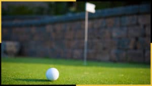 A Calgary Backyard Photo Showing Putting Green Installation