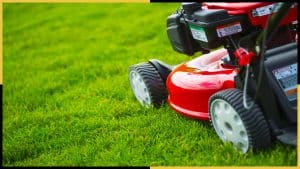 For a beautiful Calgary lawn - create a weekly mowing schedule