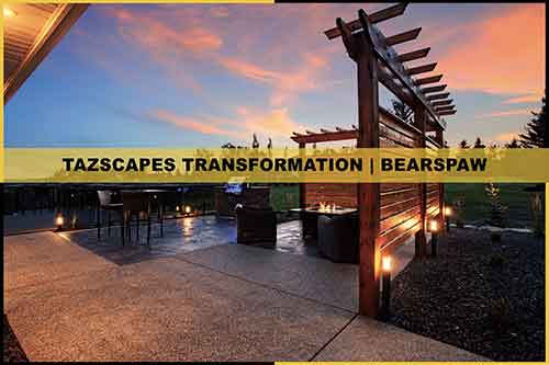Bearspaw Bearspaw