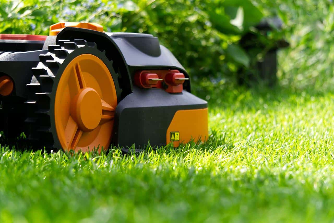 How to Prepare Your Lawn for Summer