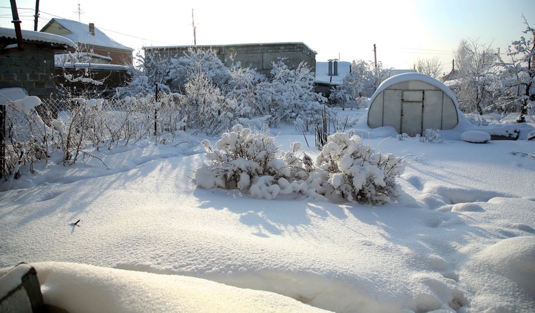 How to Maintain Your Landscaped Yard Through Winter