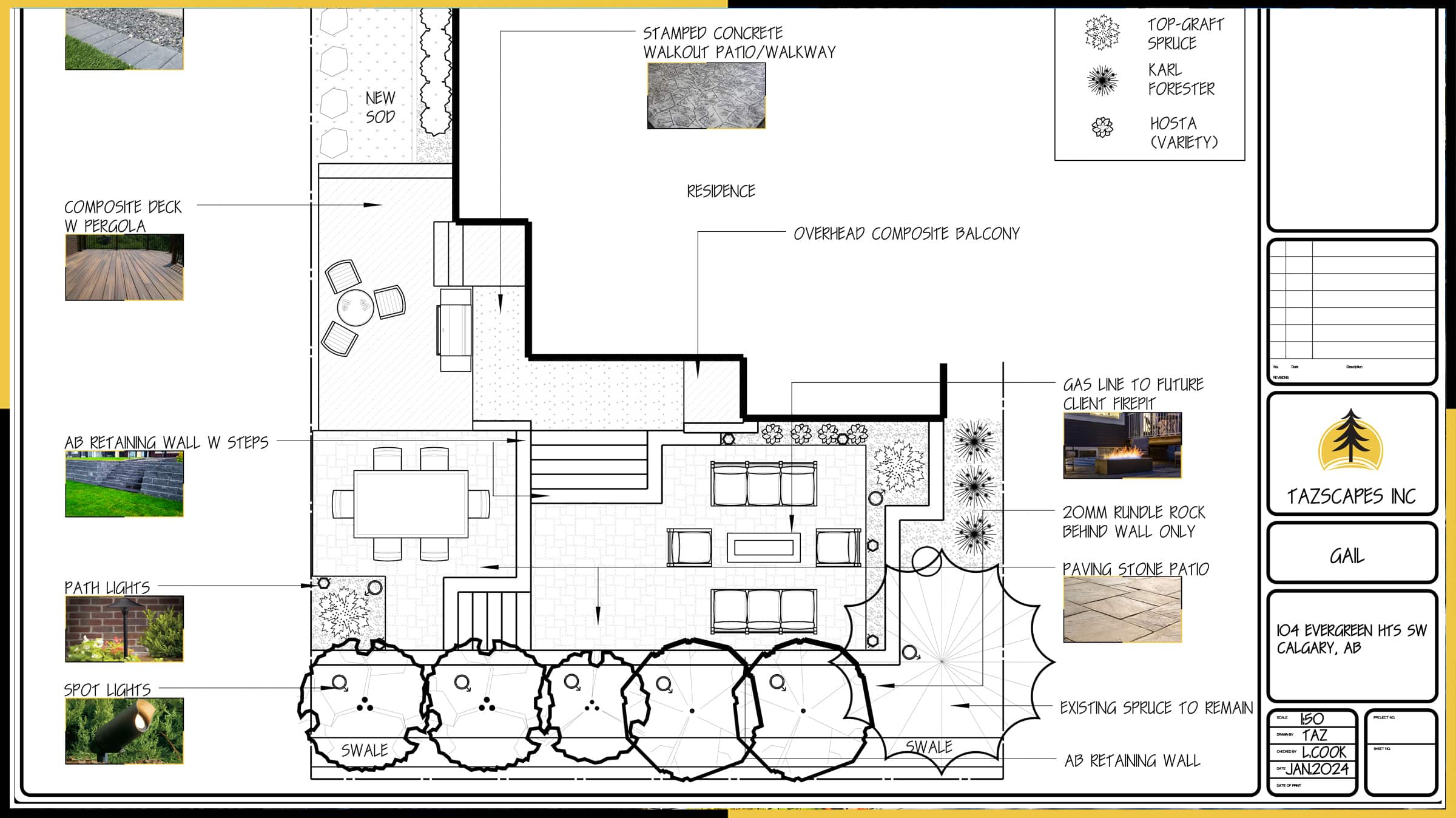 Evergreen SW 2D multi-level landscape design plan